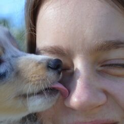 Are Dog Licks Really Kisses? Here’s Why Dogs Lick People