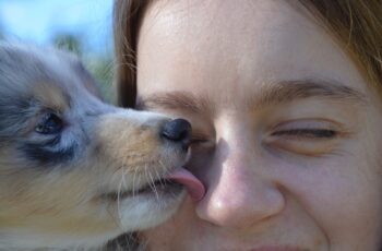 Are Dog Licks Really Kisses? Here’s Why Dogs Lick People